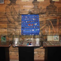 В зале Сибайского историко-краеведческого музея открылась  выставка «Увлечение души»